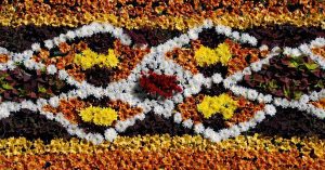 alfombra de flores del corpus christi de la orotava
