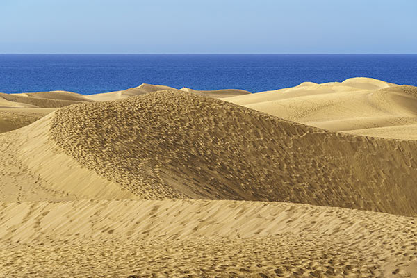 visitar las dunas de maspalomas con el océano al fondo