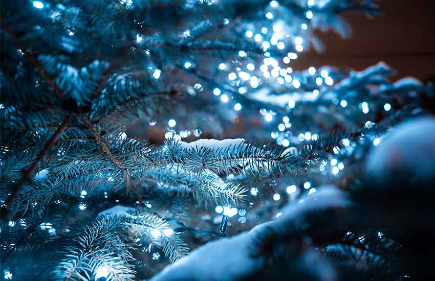 luces de navidad de gran canaria en invierno